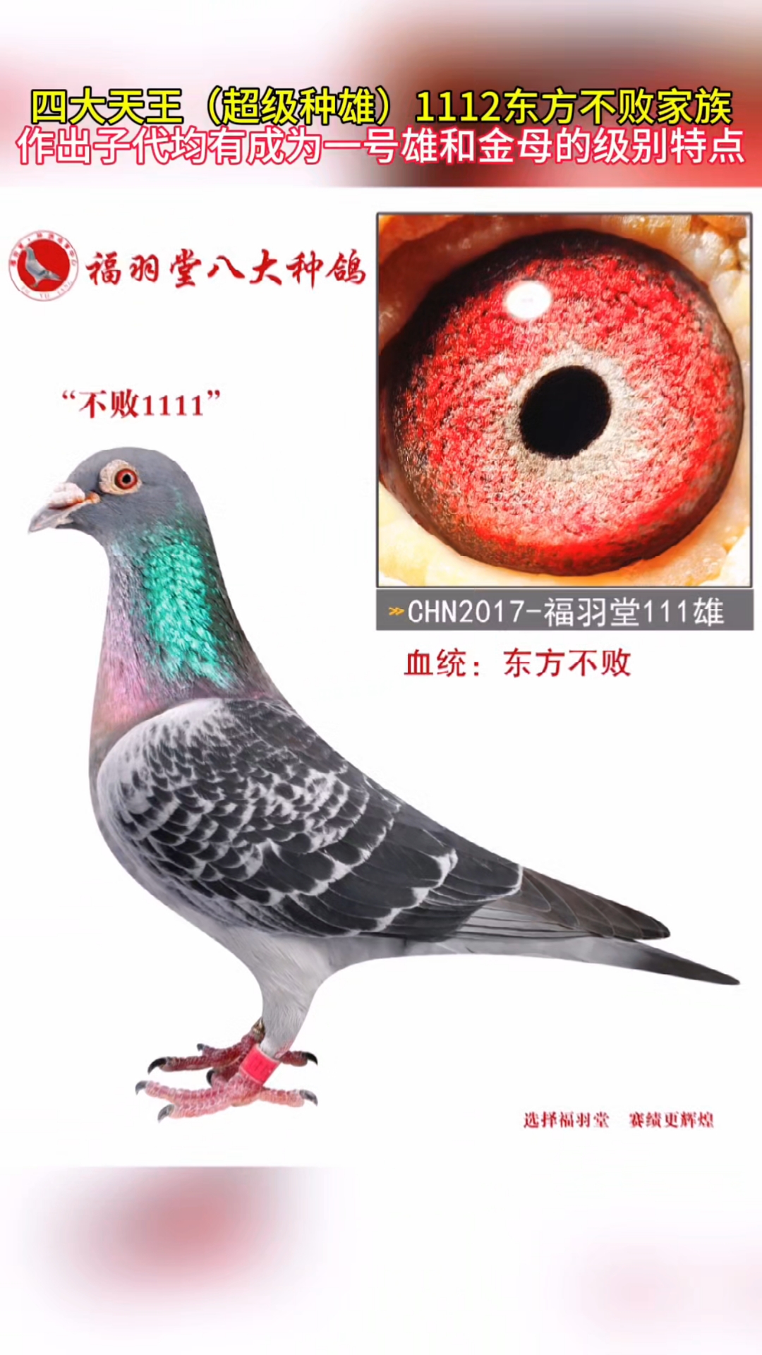 四大天王超级种雄东方不败1112家族实战家族