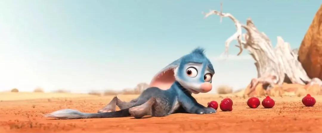 你知道什么动物从来不喝水吗?兔耳袋狸