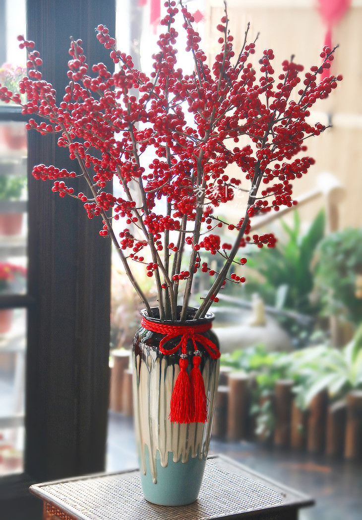 过年家庭必备花卉推荐:北美冬青,最适合新年气氛的红色