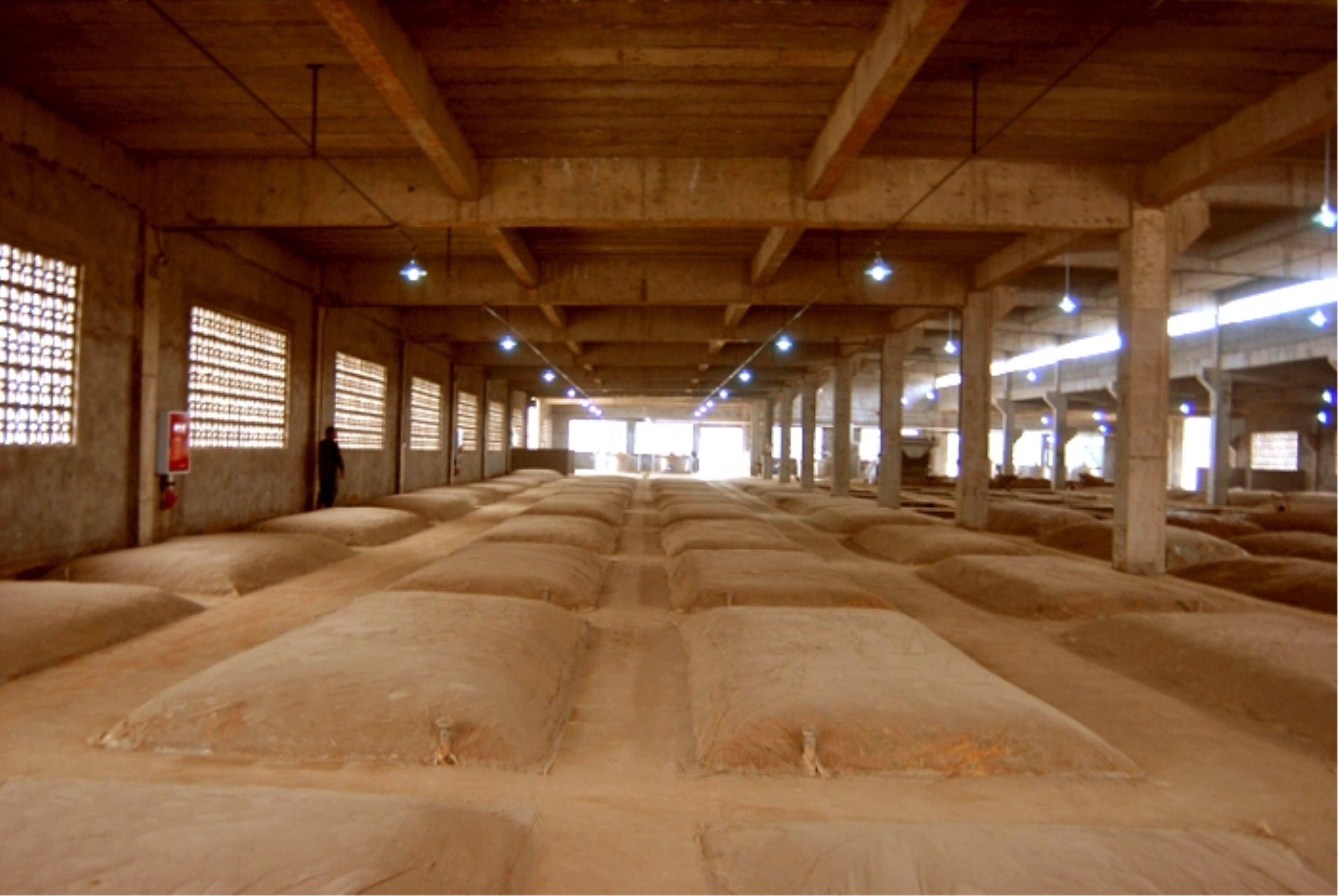泸州老窖原池酒厂图片