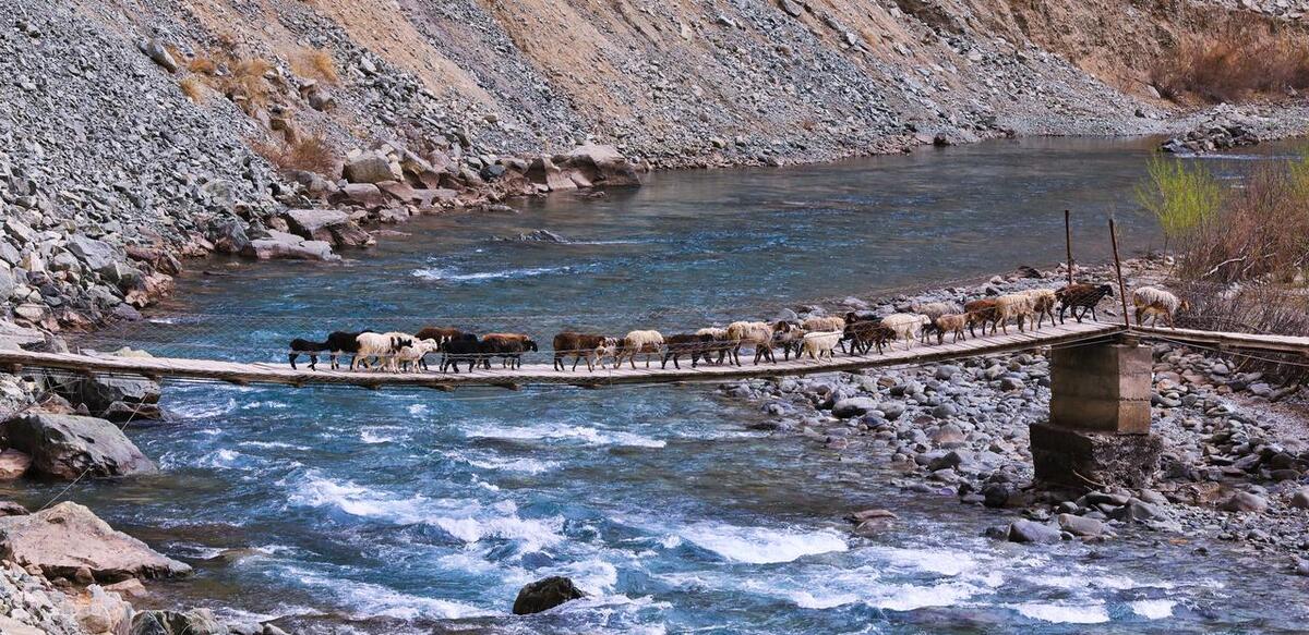 穿越塔莎古道:与自然融为一体,释放心灵!