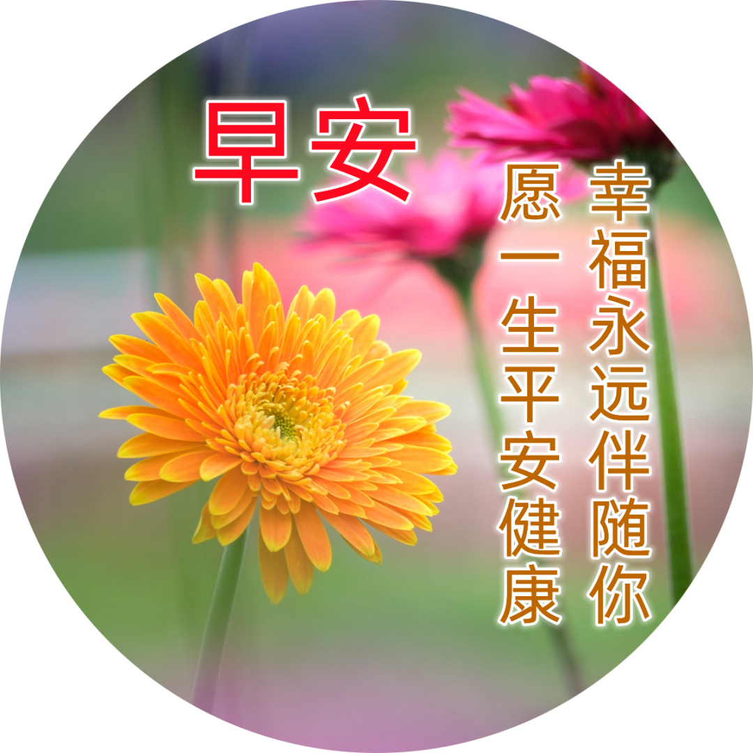 问候大家早上好表情大全图片.@宇航励志正能量的动态