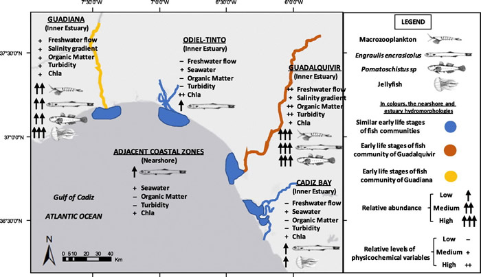 瑞士日内瓦自然史博物馆的双头希腊陆龟janus迎来20岁生日
