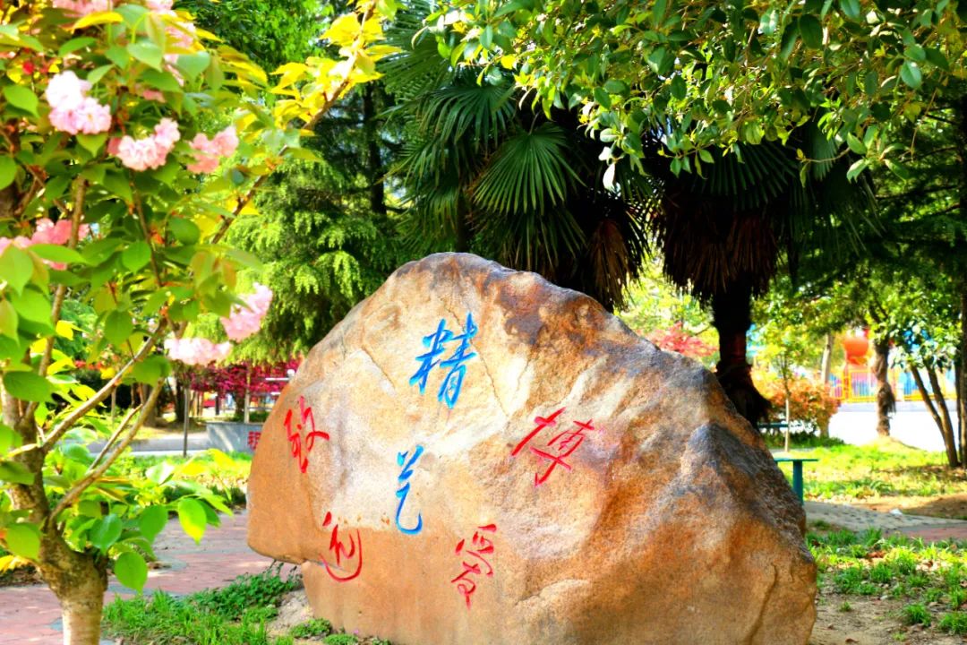 李垠:我的宏桥情结