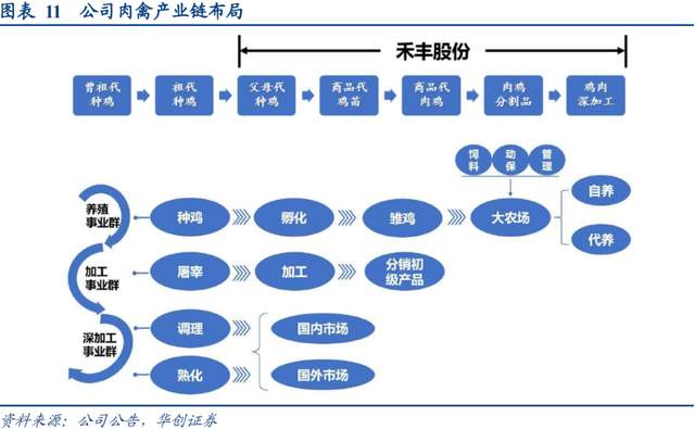 禾丰企业产业链图图片