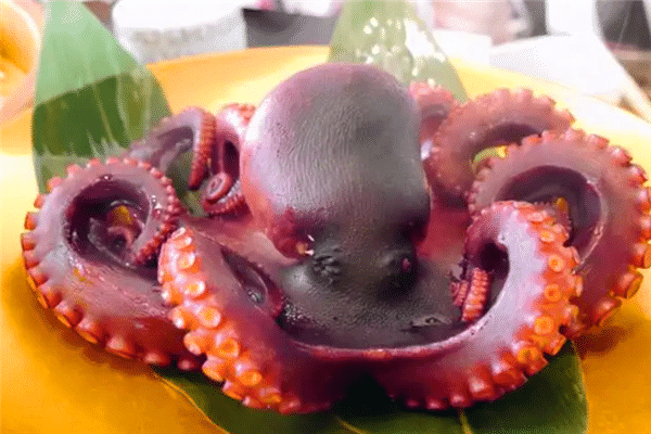 八爪鱼变九爪鱼?日本章鱼变异引争议,专家:和核辐射有很大关系