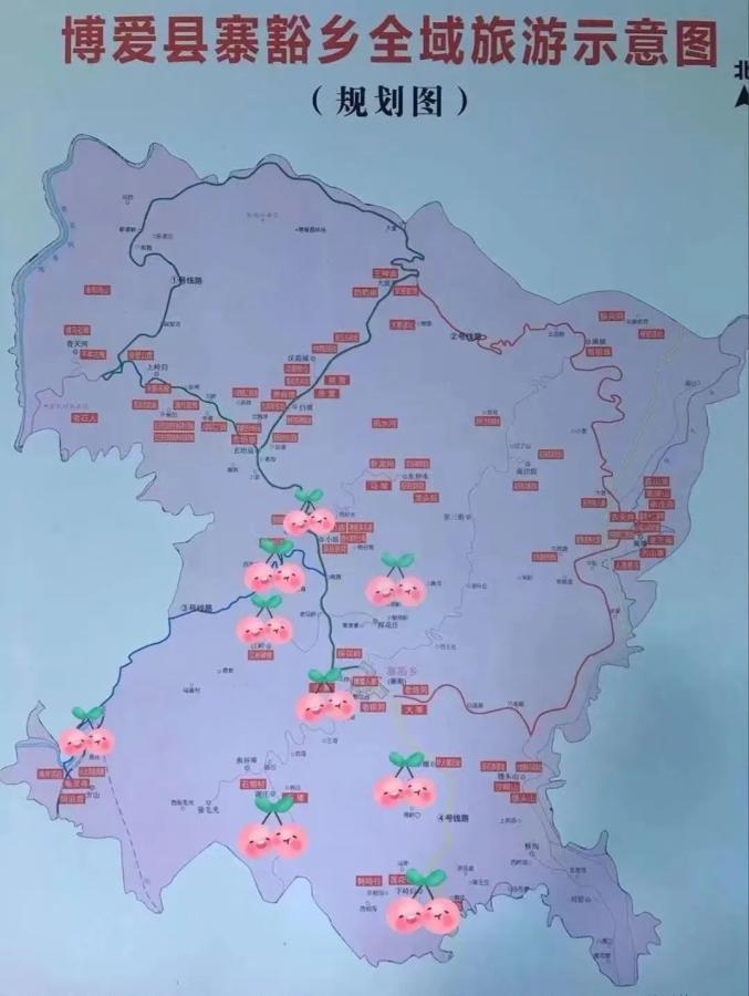 这份采摘旅游攻略请收好!博爱大樱桃甜得很!