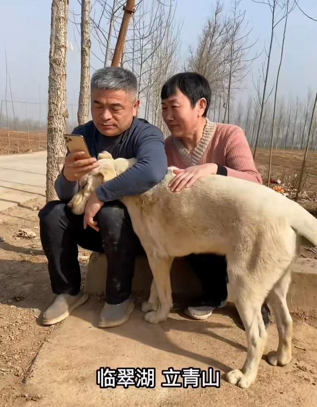 郭刚堂晒照为妻子送上深情表白,老两口同框依偎,尽享安逸生活