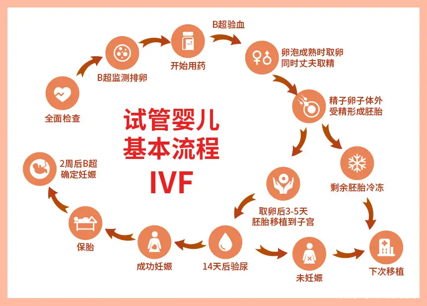 人授和试管有什么区别(人授大概需要多少钱)-第2张图片-鲸幼网