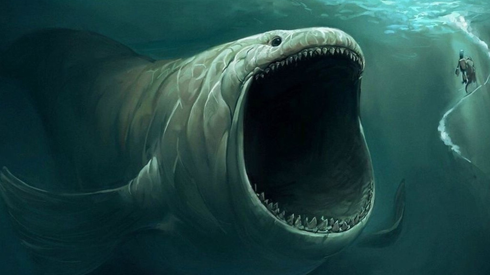 大白鲨被它咬下一块肉也只能等死,雪茄达摩鲨到底有多猛?