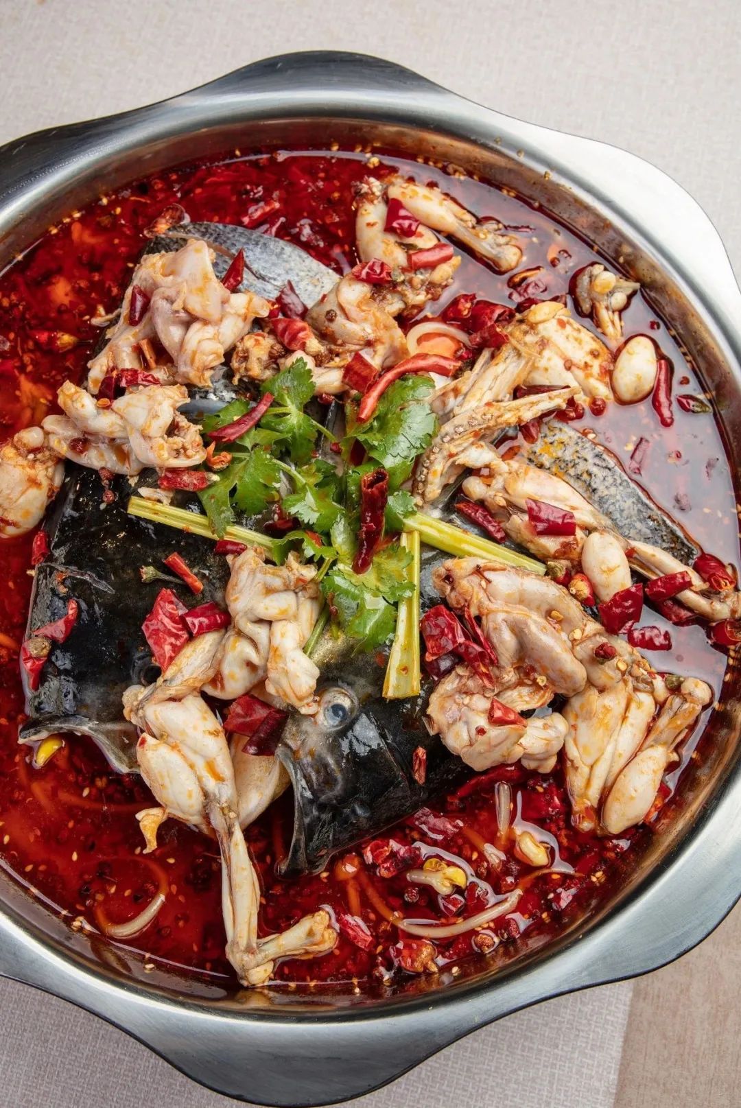 自 美蛙"出道"以来,可谓是 铁打的蛙蛙,流水的cp,鱼头,肥肠,鸡肉,鸭血