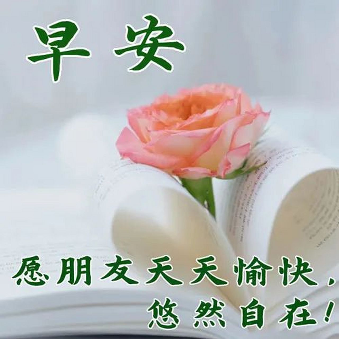 今日最新早上好图片大全,平安吉祥,万事如意! 早上好!