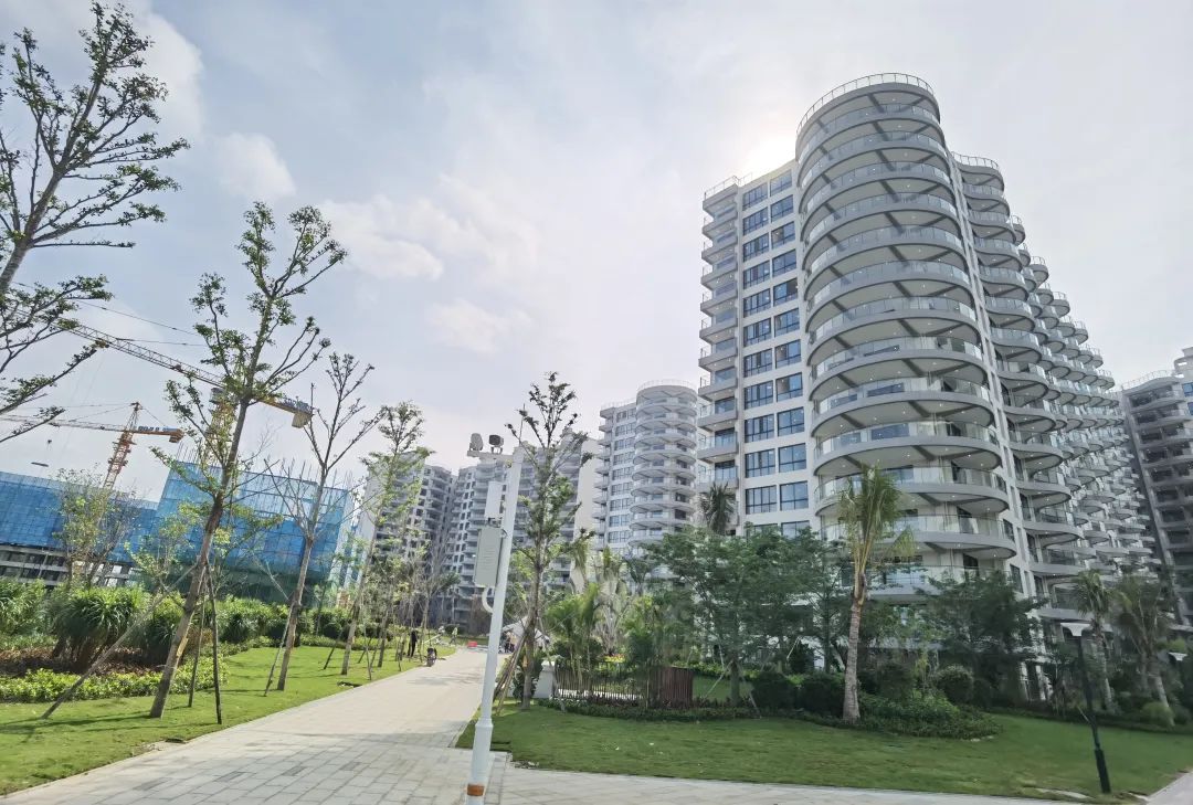 龙栖海岸开发商清凤集团资质介绍 "以匠心致未来"