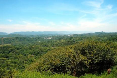 雲採摘 | 他開荒廿餘載 耕山為家 換來滿襟果香