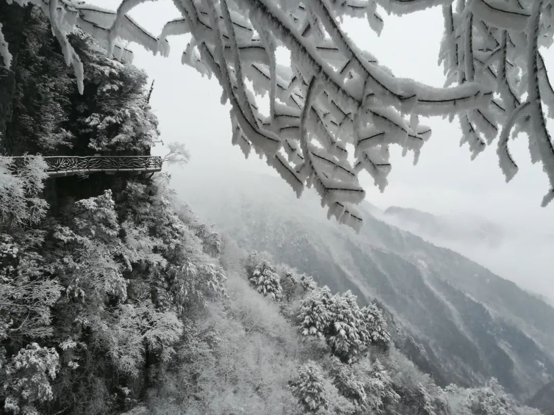 巴山大峡谷冬天图片