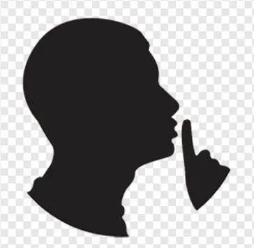 不敢高声语,恐惊天上人