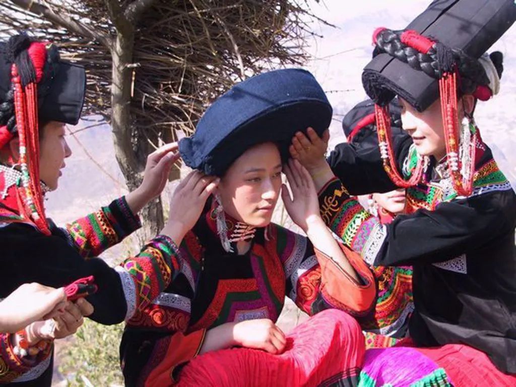 大凉山立秋后收黑苦荞挖土豆丰收节,彝族村庄赶集原生态劳作纪实