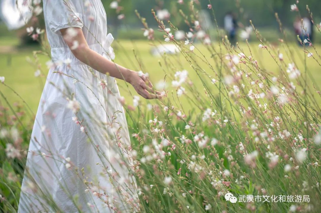 在武漢吹著初夏微涼的江風,邊逛邊拍照,太快樂了!