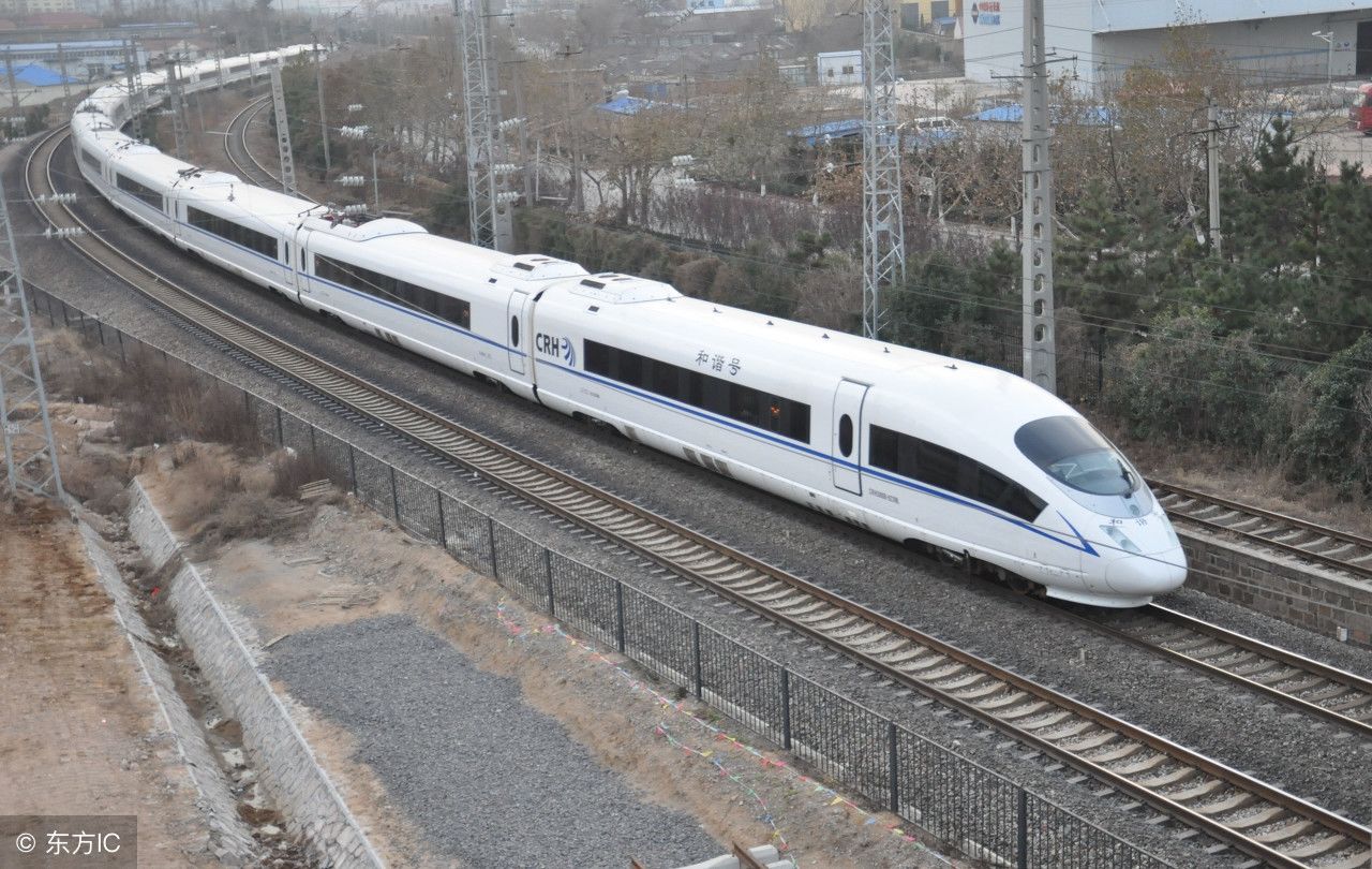 兰西豆包,为啥出名?(日志,选发,写于2019年10月30日)