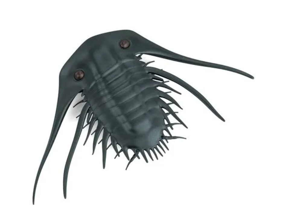 寒武纪的霸主:三叶虫的奥秘和魅力