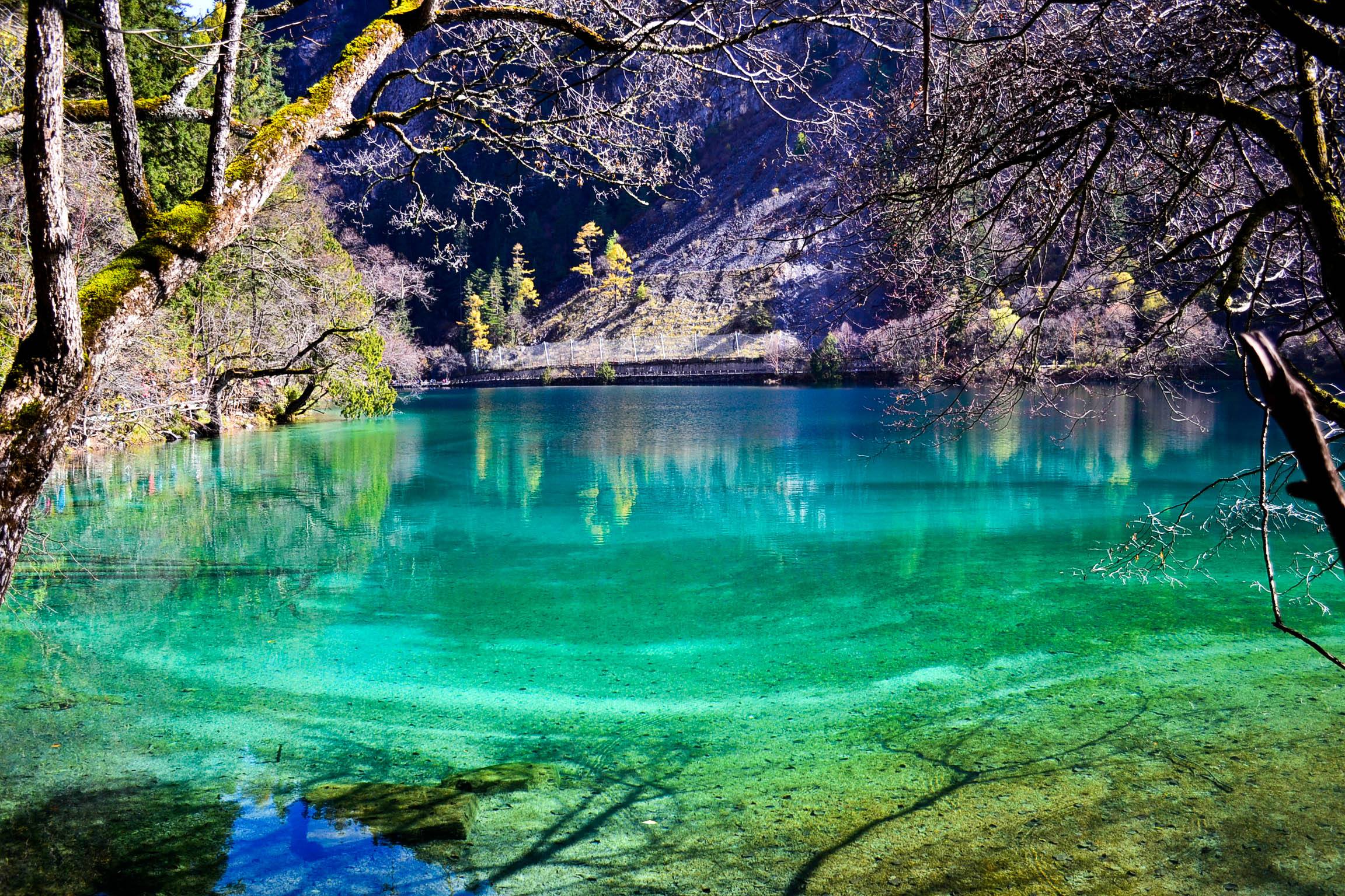 阿坝县有什么旅游景点图片