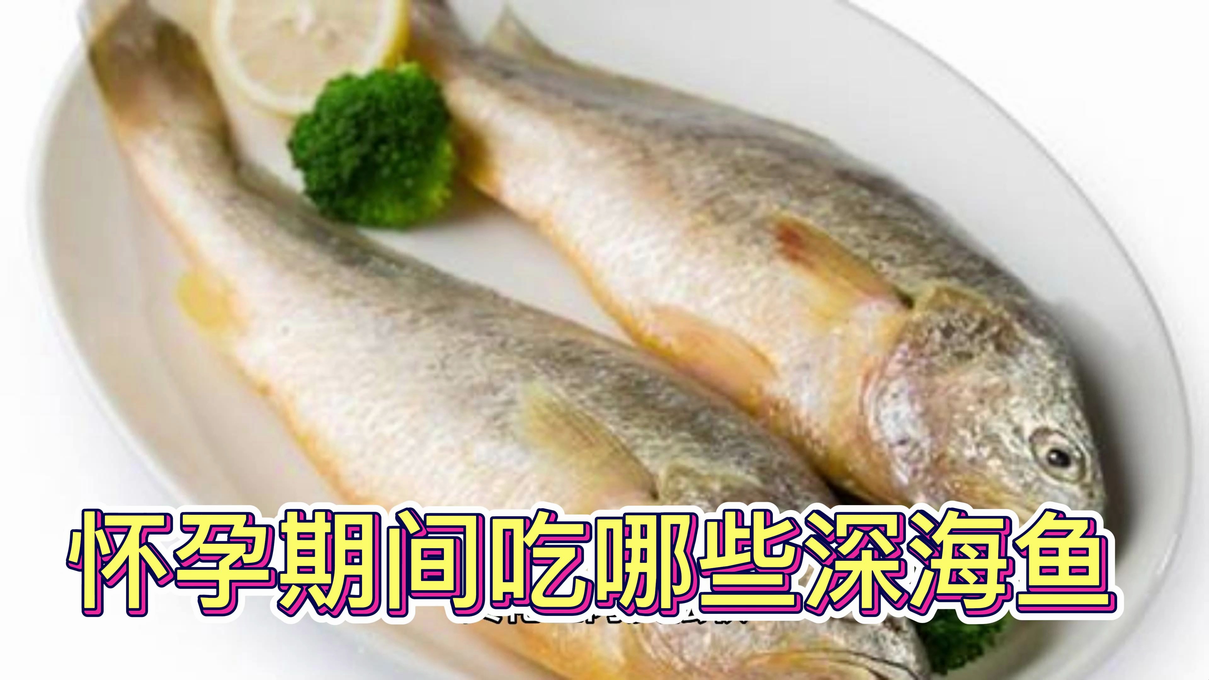 怀孕期间适合吃哪些深海鱼