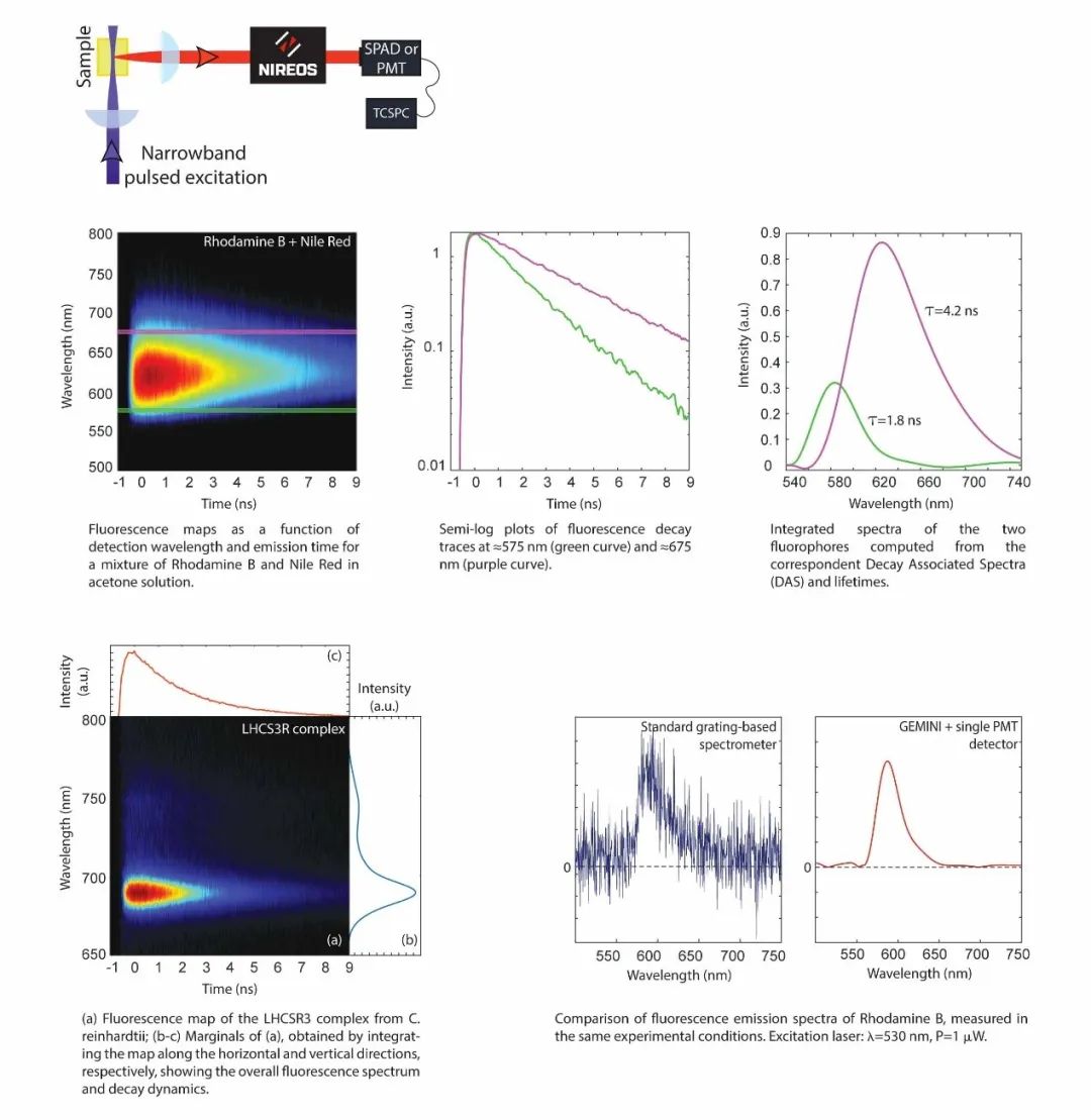 高通量,宽光谱,更紧凑的全光谱干涉仪gemini