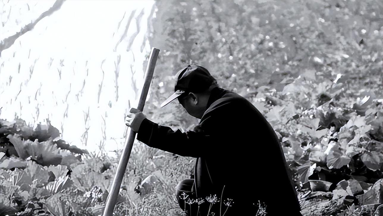 回顾葫芦岛特大凶杀案:残忍杀害13人,还将男人下体割掉泄愤