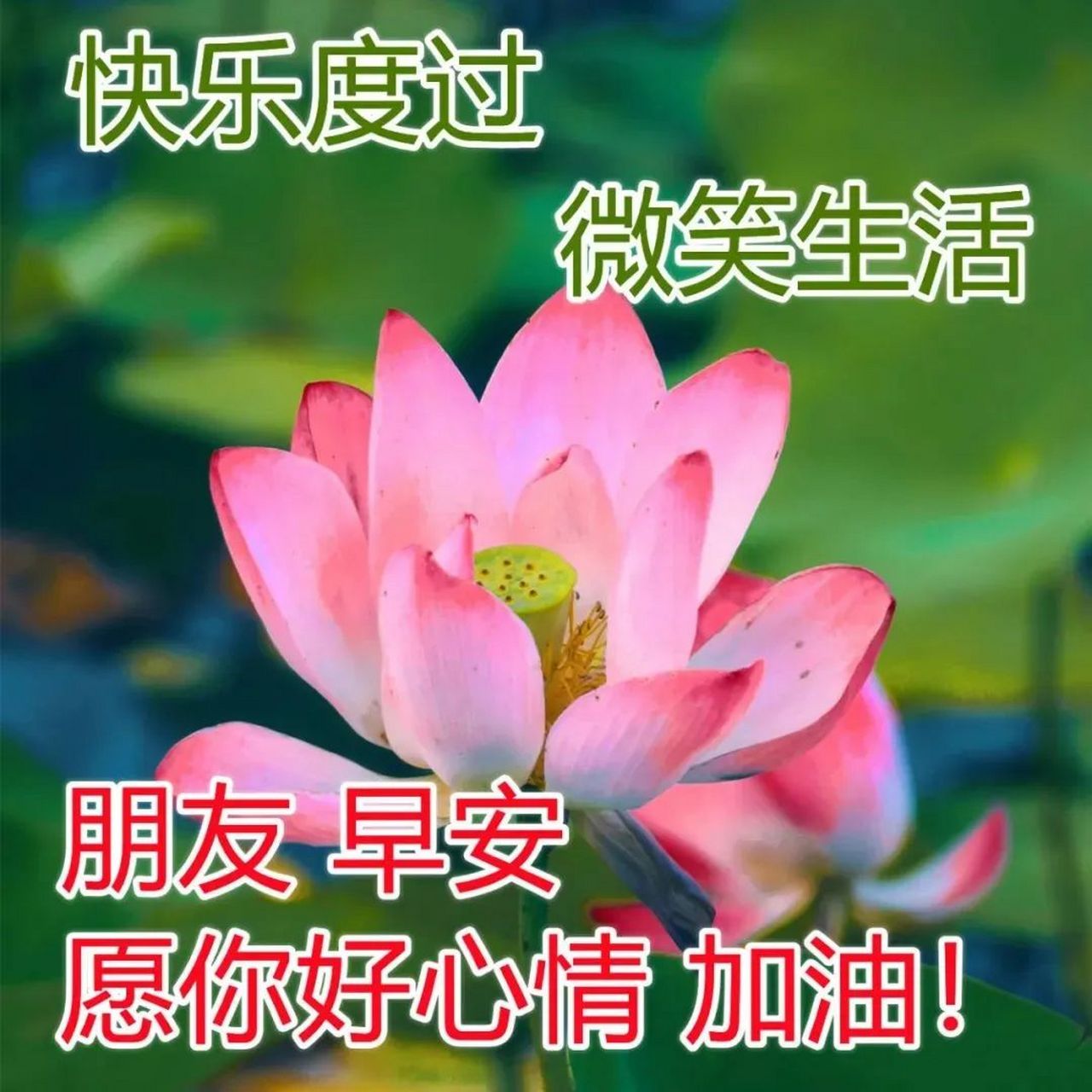 朋友们大家早上好,微信新版好看的早上问候语图片表情送你 1. 早上好!