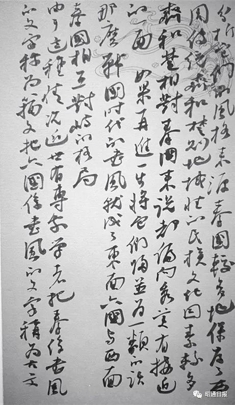 书画丨金泽珊:书法作品选(八幅)