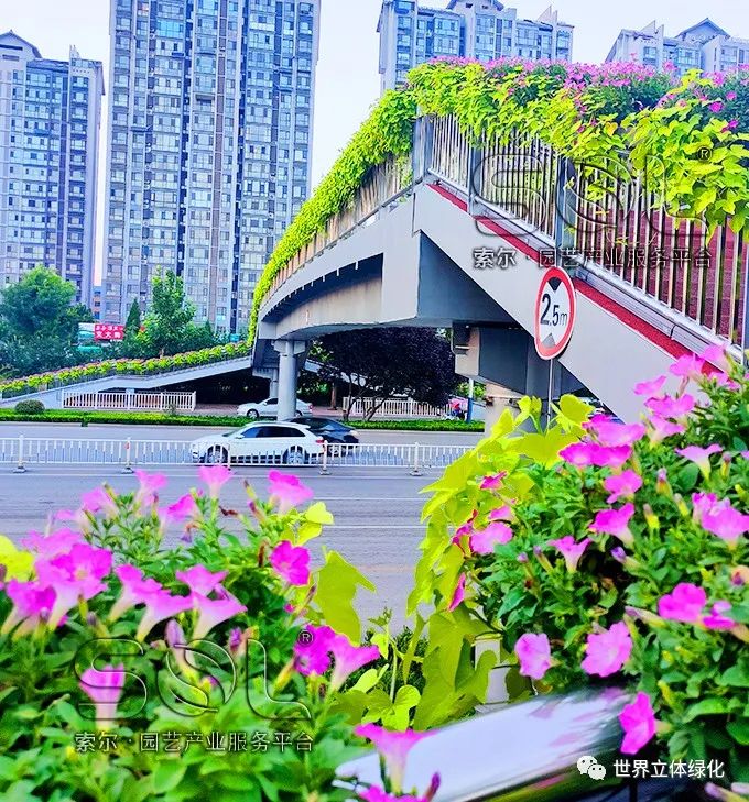 超靓!介休市又多两处人行天桥打卡地