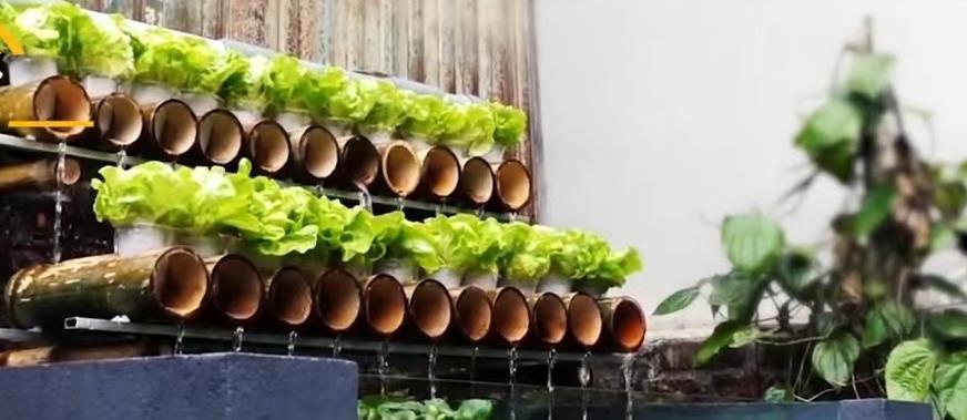 藏风聚气,得水为上,生态鱼缸,下养鱼上种菜