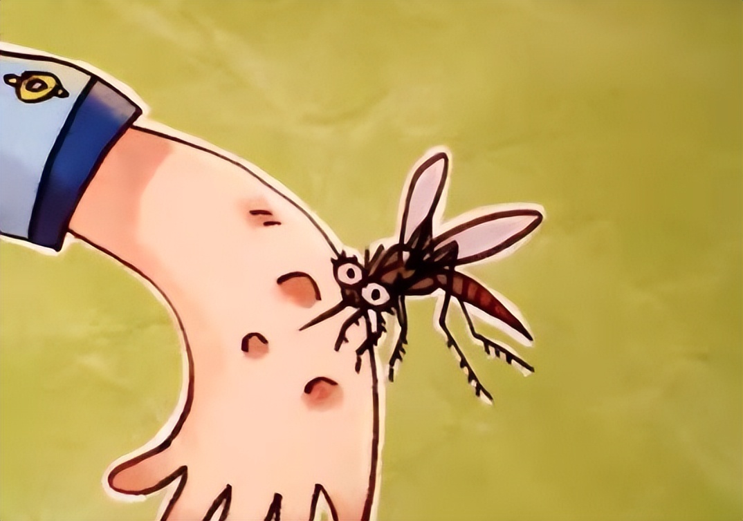 花蚊子可以传播多种疾病:登革热,寨卡病毒,基孔肯雅