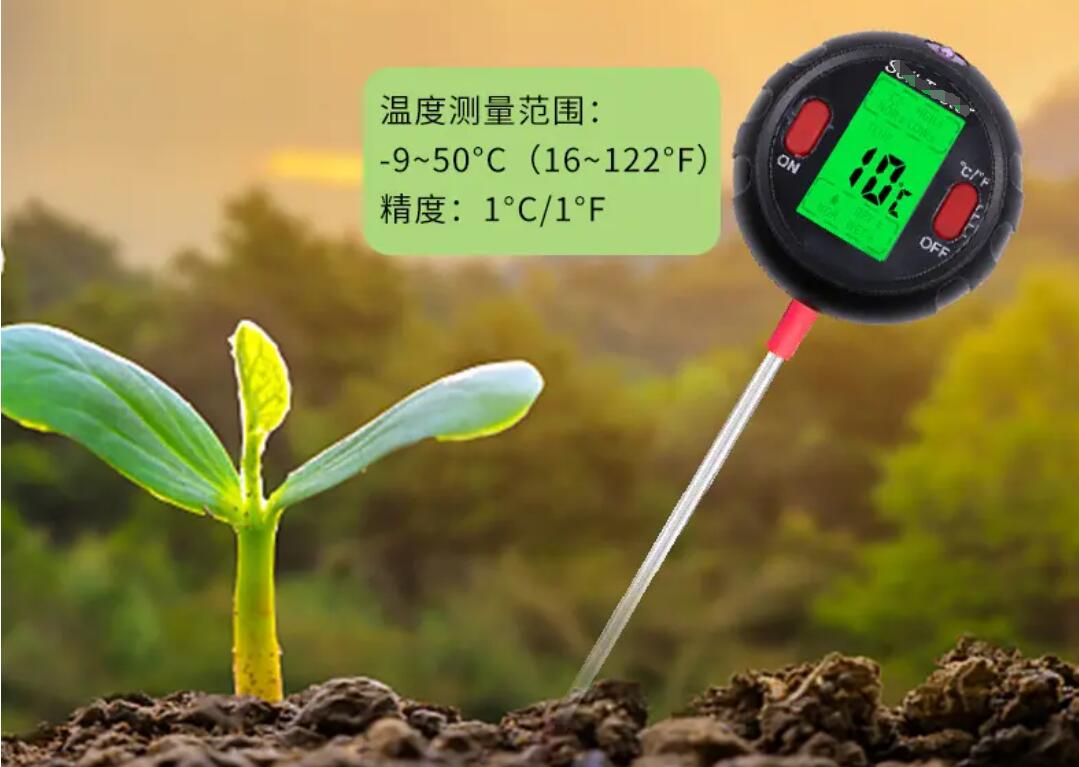 春季大棚种芸豆温度湿度和水肥三者是什么关系难点在哪儿