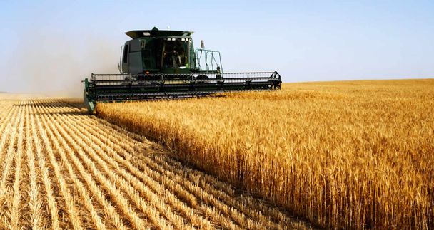 美国水稻亩产量直超中国,是因为美国水稻有黑科技吗?