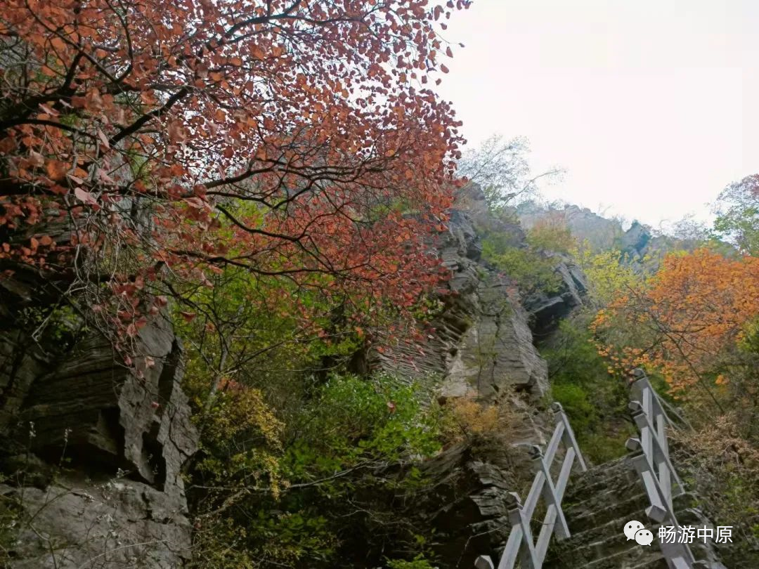 走进河南省跑马岭地质公园,感受"天苍苍,野茫茫的"的北国风光