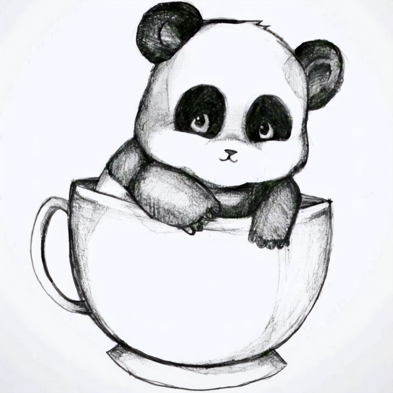 素描熊猫的图画(47张)