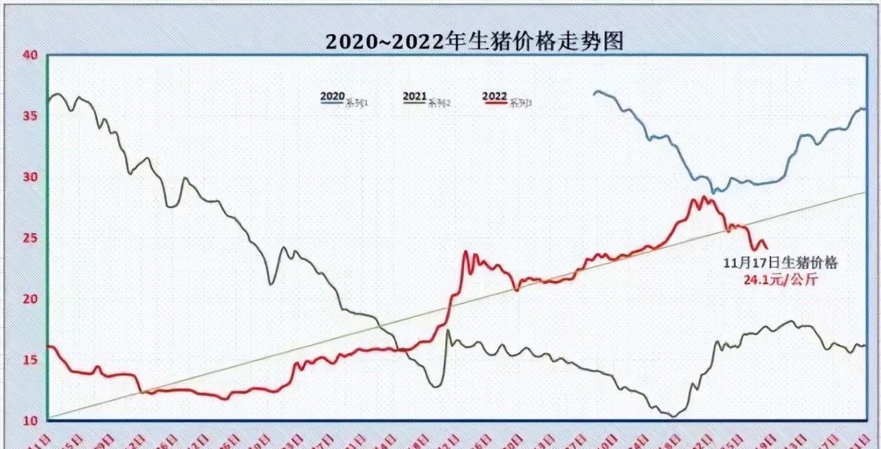 今天猪肉价格回落,但涨跌不一,首先是东北,明天是牛市?