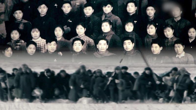 时政微视频丨瞰塞罕坝