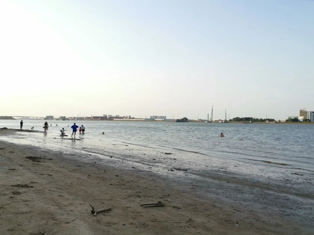 容桂海滩图片