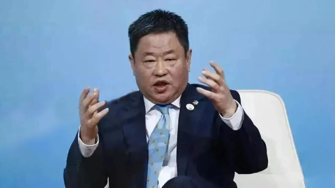 了不起的央企掌门宁高宁