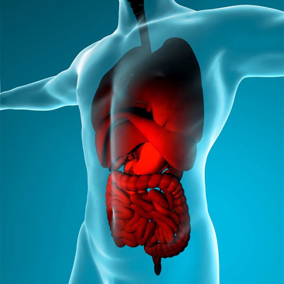 身体的9大脏器该怎么"清理垃圾"?一组图告诉你具体该怎么做