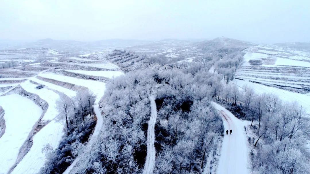 甘肃定西雪景图片