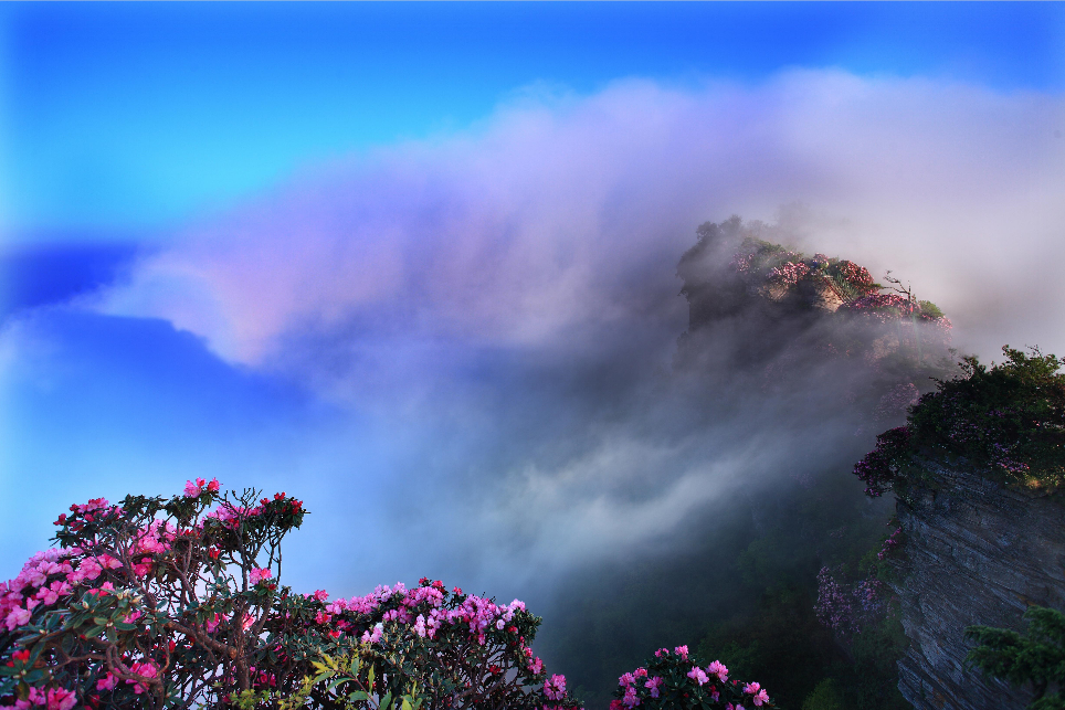 五一小长假光雾山福利重磅来袭点燃五月出游激情