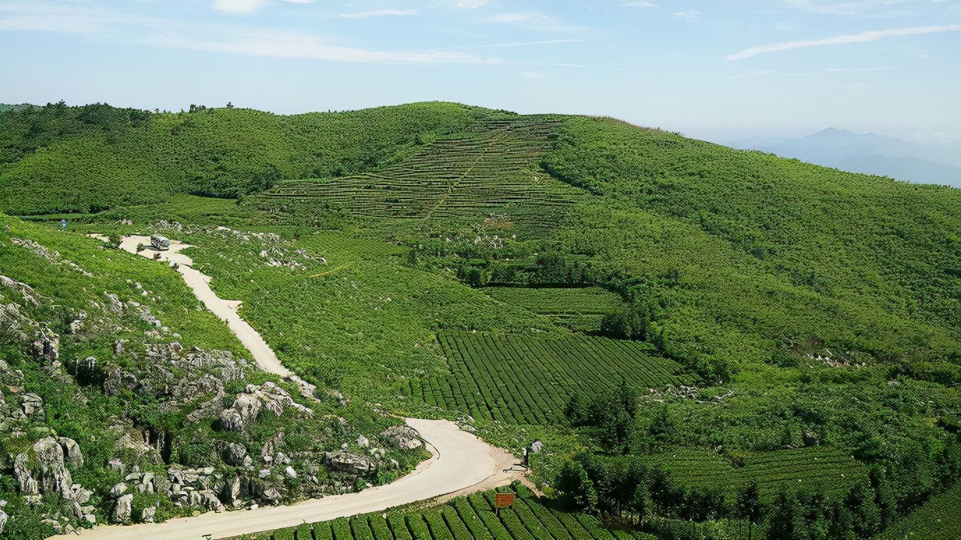 安化云台山,云上有茶园|初夏湘西行①