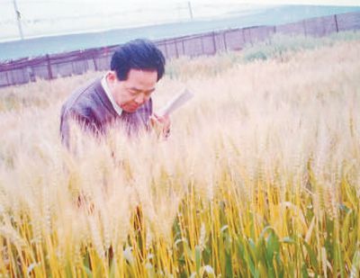 南方麦王-程顺和:守望麦田数十载,只为"粮安天下"