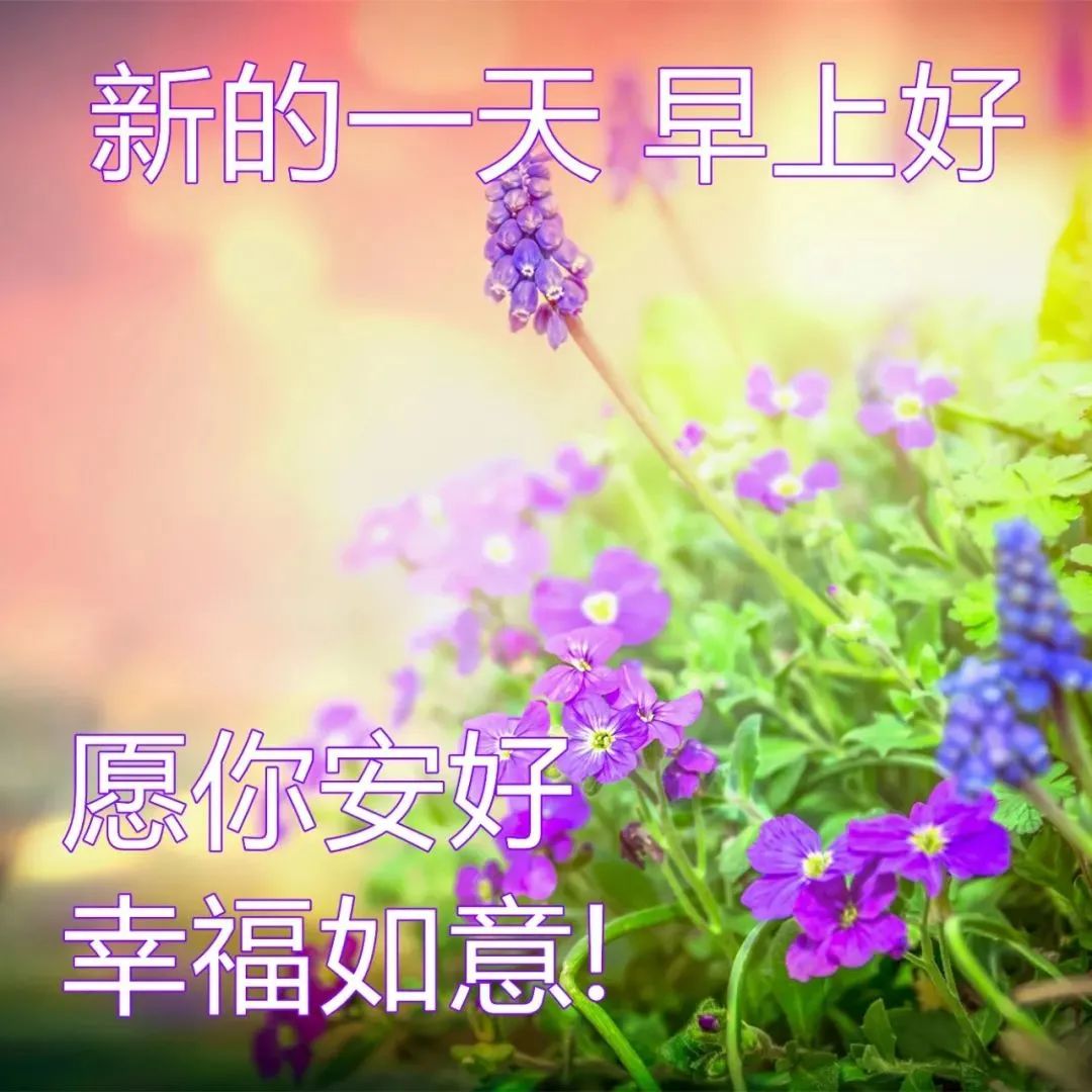 周三最新慰问大家早上好图片大全,早上好祝福语