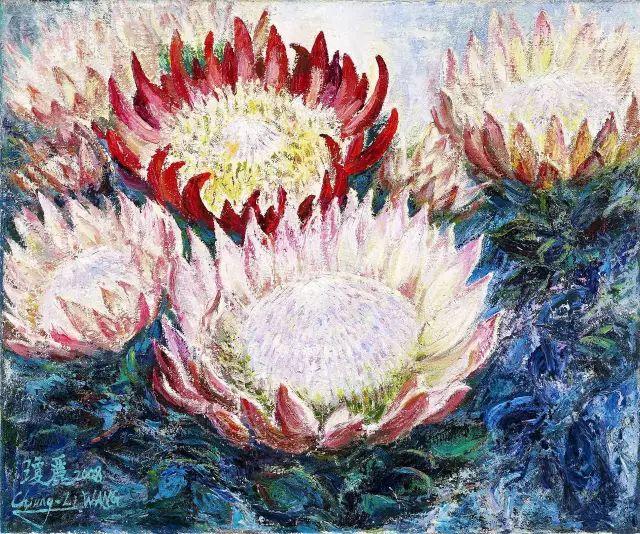 帝王花|最富贵华丽的鲜花