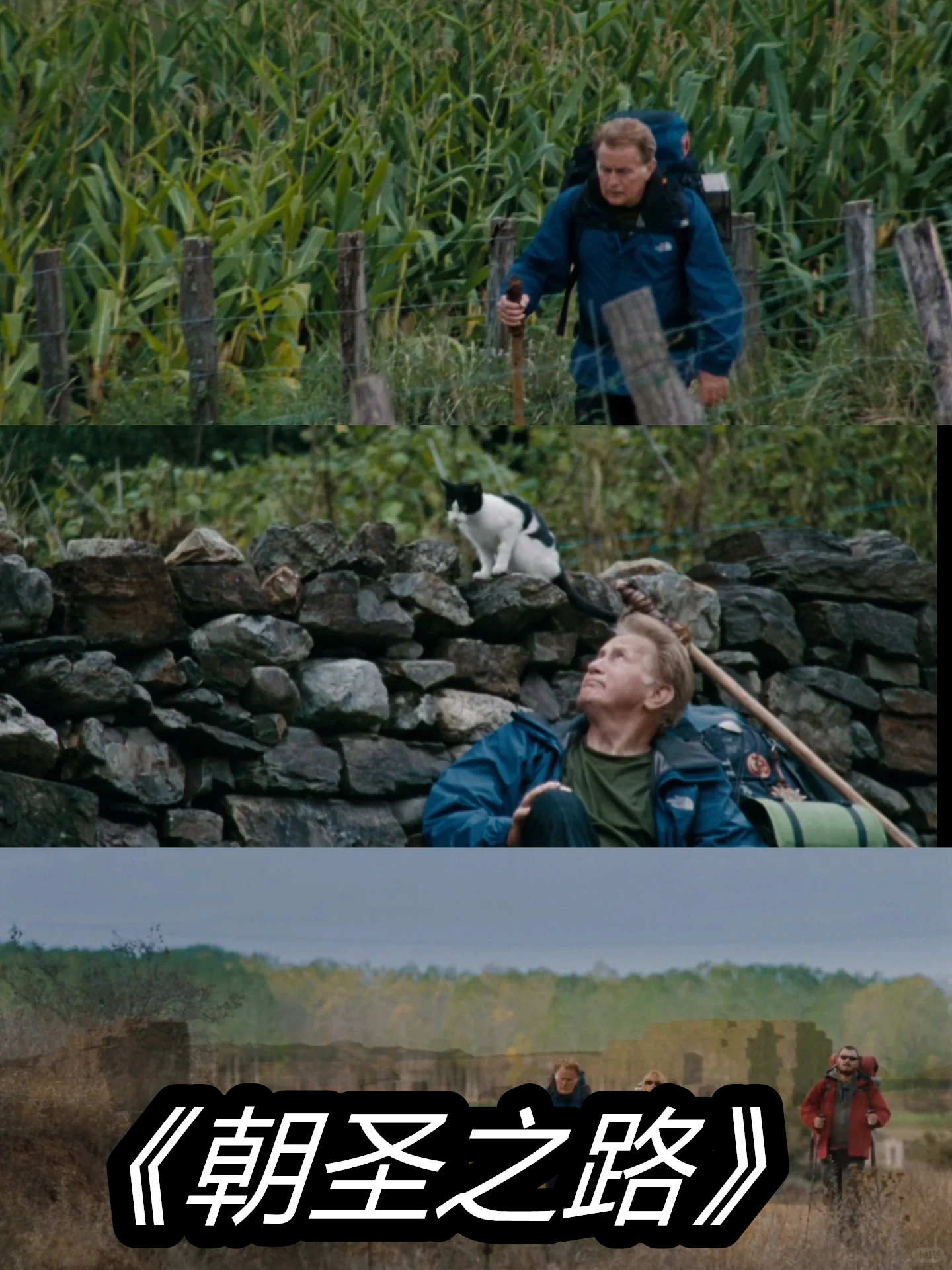 于是决定背负行囊替儿子走完那未曾完成的朝 朝圣之路电影朝圣之路