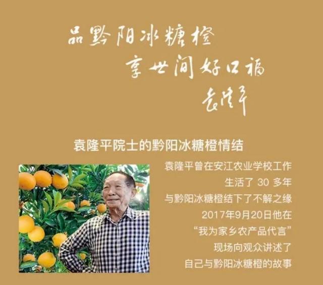 袁隆平力荐的湖南黔阳冰糖橙,苏宁超市原产地直采
